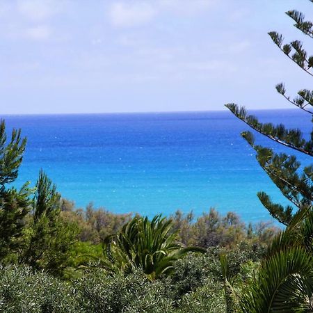 Porto Santo - Pedras Pretas Beach House Dış mekan fotoğraf